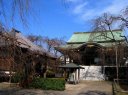 南蔵院 蓮沼町 板橋