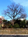 志村一里塚 志村