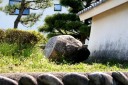 美江寺城址碑 美江寺 瑞穂市 岐阜県