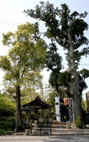 春日神社 松尾 関ケ原町 不破郡 岐阜県