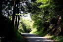 今須峠 山中 関ケ原町 不破郡 岐阜県