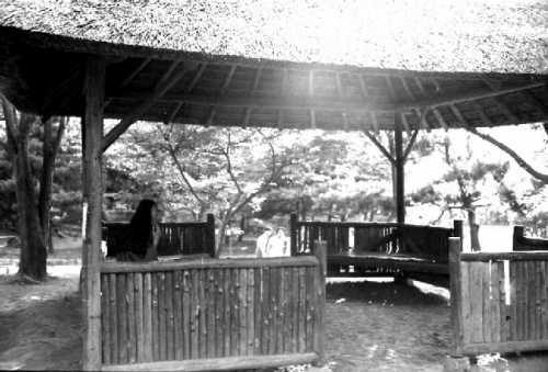 小諸なる古城のほとり