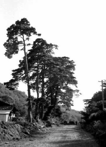 笠取峠