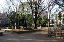 常盤公園 常盤１丁目 浦和区 さいたま市 埼玉県