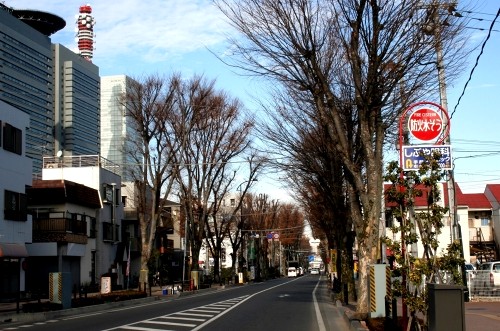 けやき並木 吉敷町4丁目 大宮区 さいたま市 埼玉県