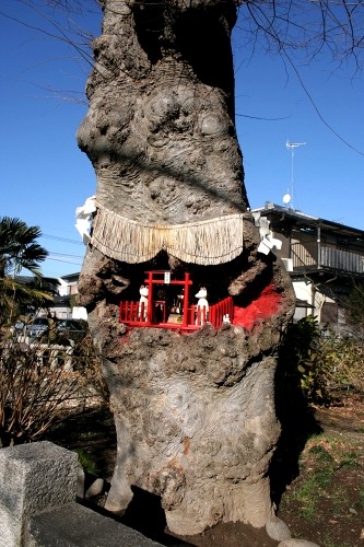 欅稲荷 寿２丁目 桶川市 埼玉県