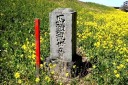 馬頭観音 久下新田 熊谷市 埼玉県
