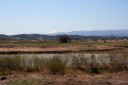 富士山遠望・荒川河川敷 久下 熊谷市 埼玉県