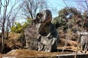 だるまいし（東竹院） 久下 熊谷市 埼玉県