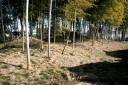 庁鼻和館跡（国済寺） 国済寺 深谷市 埼玉県