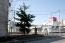 見返りの松 原郷 深谷市 埼玉県