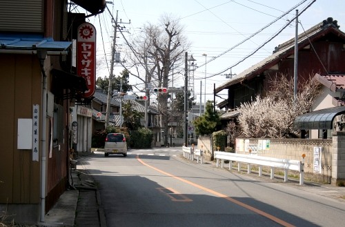 旧中山道 牧西 本庄市 埼玉県