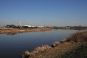 手賀川 発作 印西市 千葉県