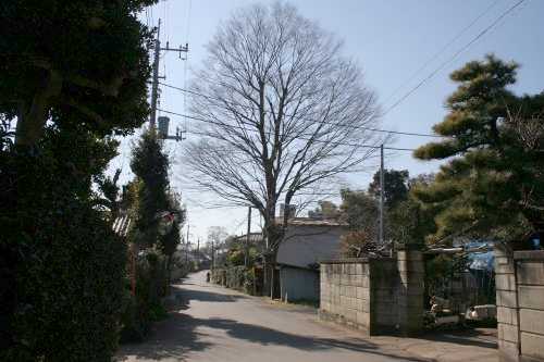 鮮魚街道旧道 平塚 白井市 千葉県