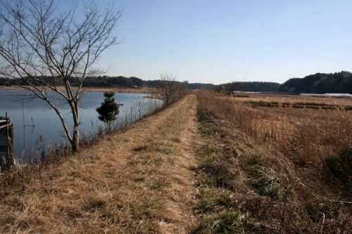 左：下手賀沼 右：同干拓地 平塚 白井市 千葉県
