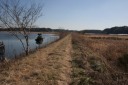 左：下手賀沼 右：同干拓地 平塚 白井市 千葉県