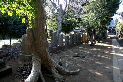 庚申塔群 鳥見神社 富塚 白井市 千葉県