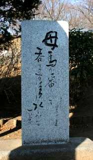 子和清水 常盤平７丁目 松戸市 千葉県