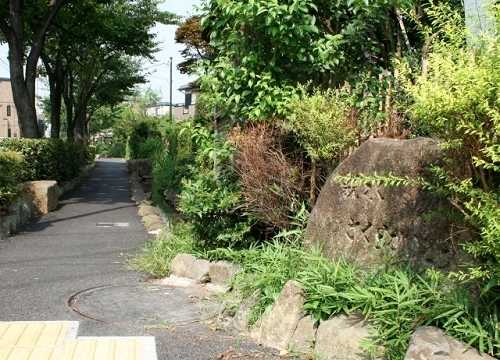 親水さくらかいどう 北小岩８丁目 江戸川区