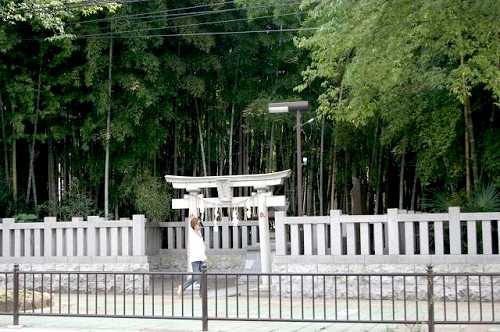 不知八幡森（八幡の藪知らず） 八幡２丁目 市川