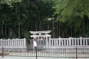 不知八幡森（八幡の藪知らず） 八幡２丁目 市川