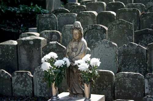 日蓮宗大本山 法華経寺 中山 市川