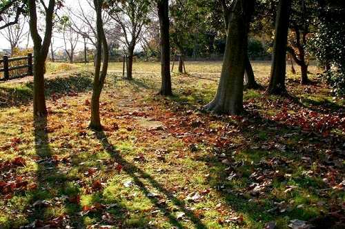 臼井城址公園 本丸跡 臼井台 佐倉市