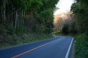 国道２９６号 江原刑場跡付近 新臼井田 佐倉市