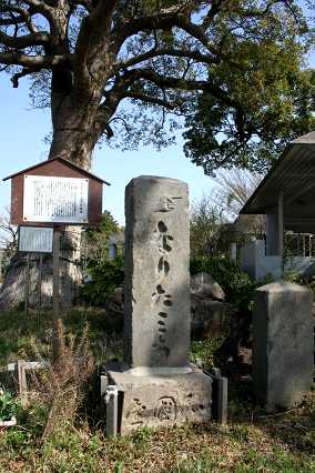 道標・巡拝塔 八千代市立郷土博物館