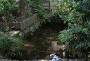 加賀清水 井野町 佐倉市