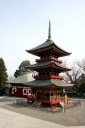 三重塔（重要文化財）成田山