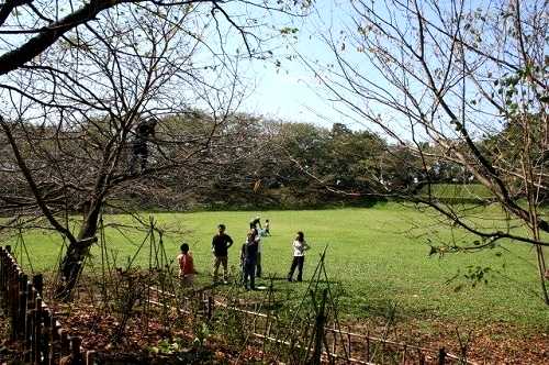 本丸跡 佐倉城址公園 城内町