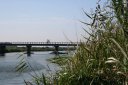 鹿島川 下根 佐倉