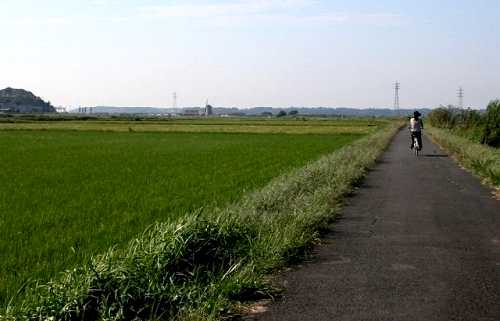 レンタサイクル 風車遠望 鹿島川西岸 角来 佐倉
