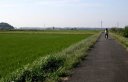 レンタサイクル 風車遠望 鹿島川西岸 角来 佐倉