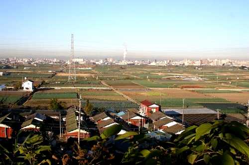 野菊苑から江戸川方面 下矢切 松戸市