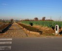 のぎくの小道 下矢切 松戸市