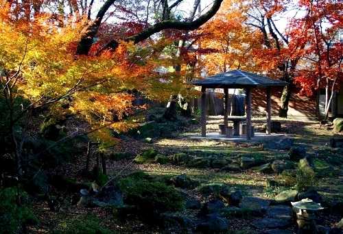 里見公園 国府台3丁目 市川市