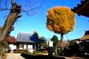 下総国分僧寺跡 国分３丁目 市川市