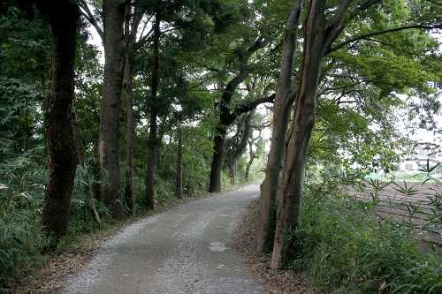 旧道もどき 西初石５丁目 流山市 千葉県
