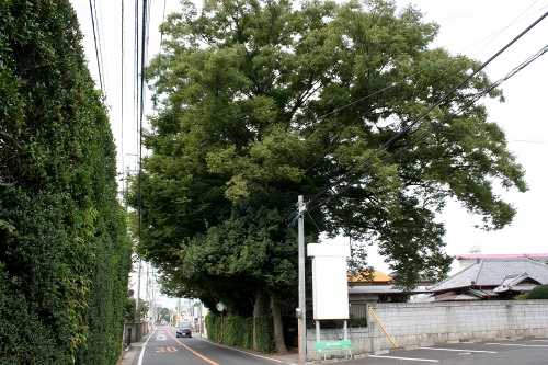 旧日光東往還 東深井 流山市 千葉県