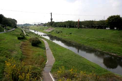利根運河 東深井 流山市 千葉県