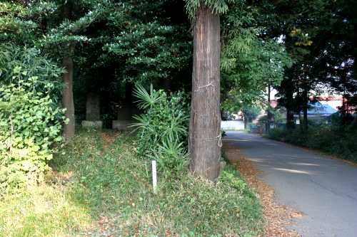 道標庚申塔・旧道 中里 野田市 千葉県