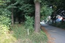道標庚申塔・旧道 中里 野田市 千葉県