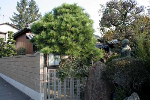 関根名人生家 東宝珠花 野田市 千葉県