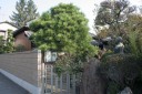 関根名人生家 東宝珠花 野田市 千葉県