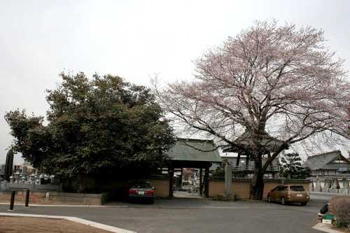 満福寺 仁良川 下野市 栃木県