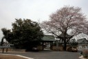 満福寺 仁良川 下野市 栃木県