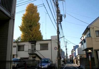 本陣跡 伝馬町 宇都宮市
