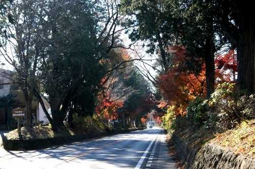 並木道 日光街道 上戸祭４丁目 宇都宮市